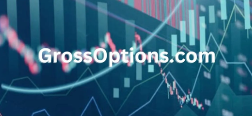 GrossOptions.com: The Future of Dynamic Investment Opportunities